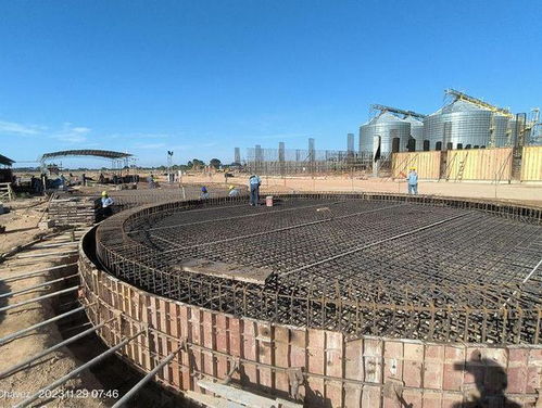 劉曉峰一行蒞臨玻利維亞圣胡利安大豆副產品加工廠項目并慰問員工